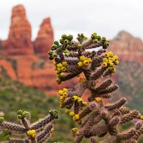 Неродные просторы