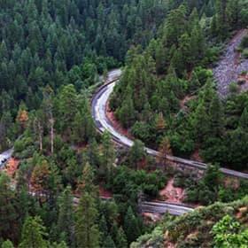 Неродные просторы